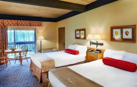 Urban Hotels